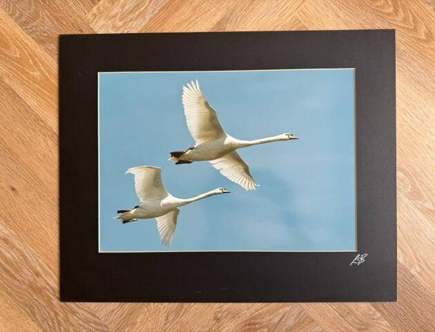 Twin Power - limited mounted photo print, signed by Lynton Bolton - A3